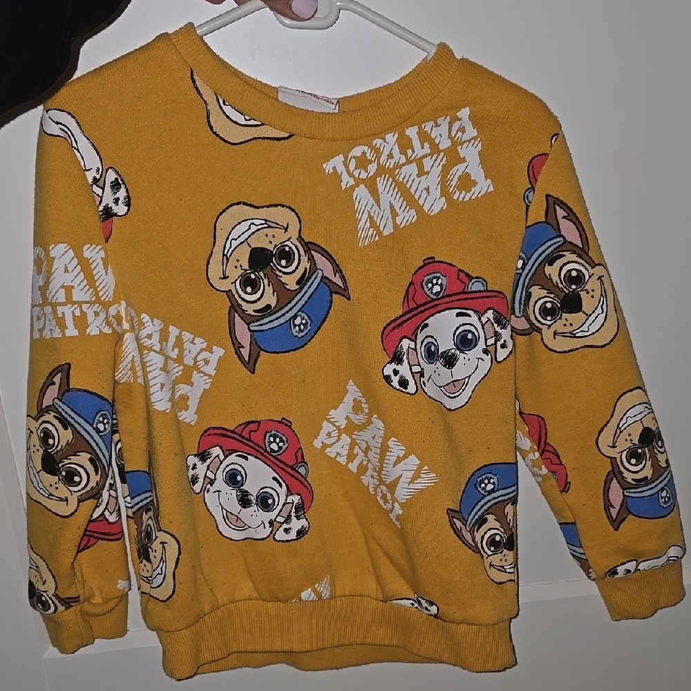 Paw Patrol Yellow and Red Hoodie with Character Prints